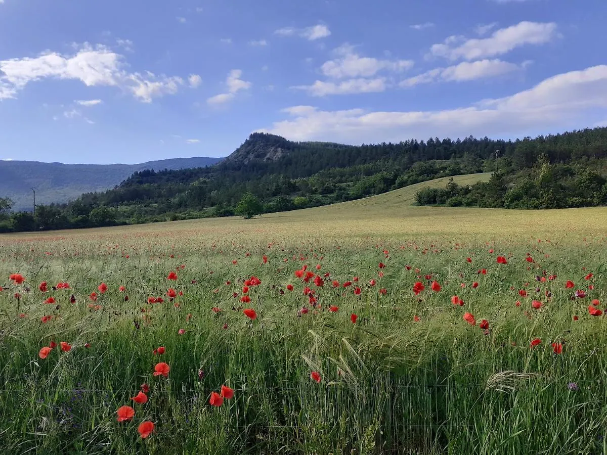 Les Terrasses Du Paradis Orpierre 0*,